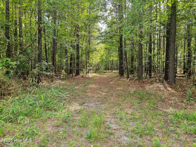 $59,900 | Lot 77 Mcgowan Road, Bath, NC 27808