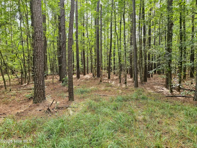 $59,900 | Lot 77 Mcgowan Road, Bath, NC 27808