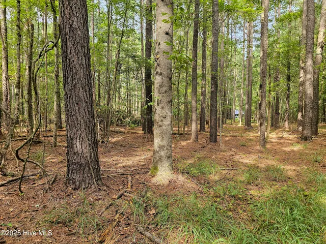 $59,900 | Lot 77 Mcgowan Road, Bath, NC 27808