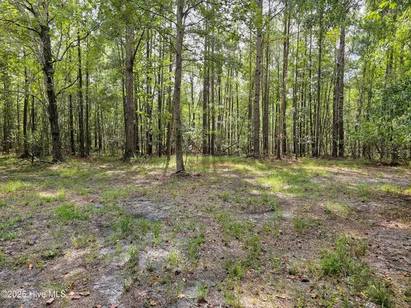 $59,900 | Lot 77 Mcgowan Road, Bath, NC 27808