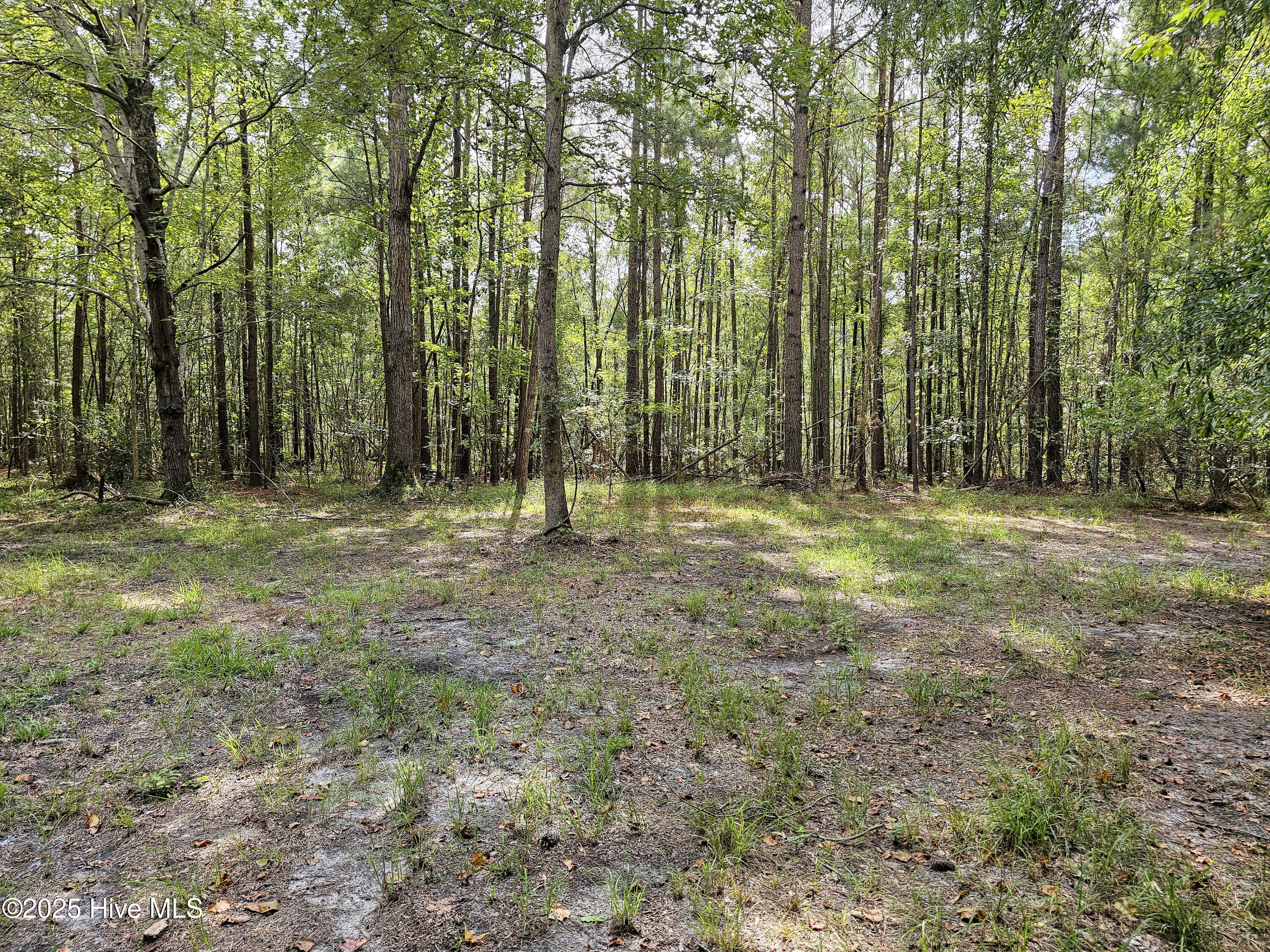 Lot 77 Mcgowan Road Bath, NC 27808 - Photo 8 of 16 20250908_152624b
