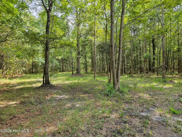 $59,900 | Lot 77 Mcgowan Road, Bath, NC 27808