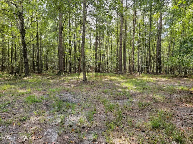 $59,900 | Lot 77 Mcgowan Road, Bath, NC 27808