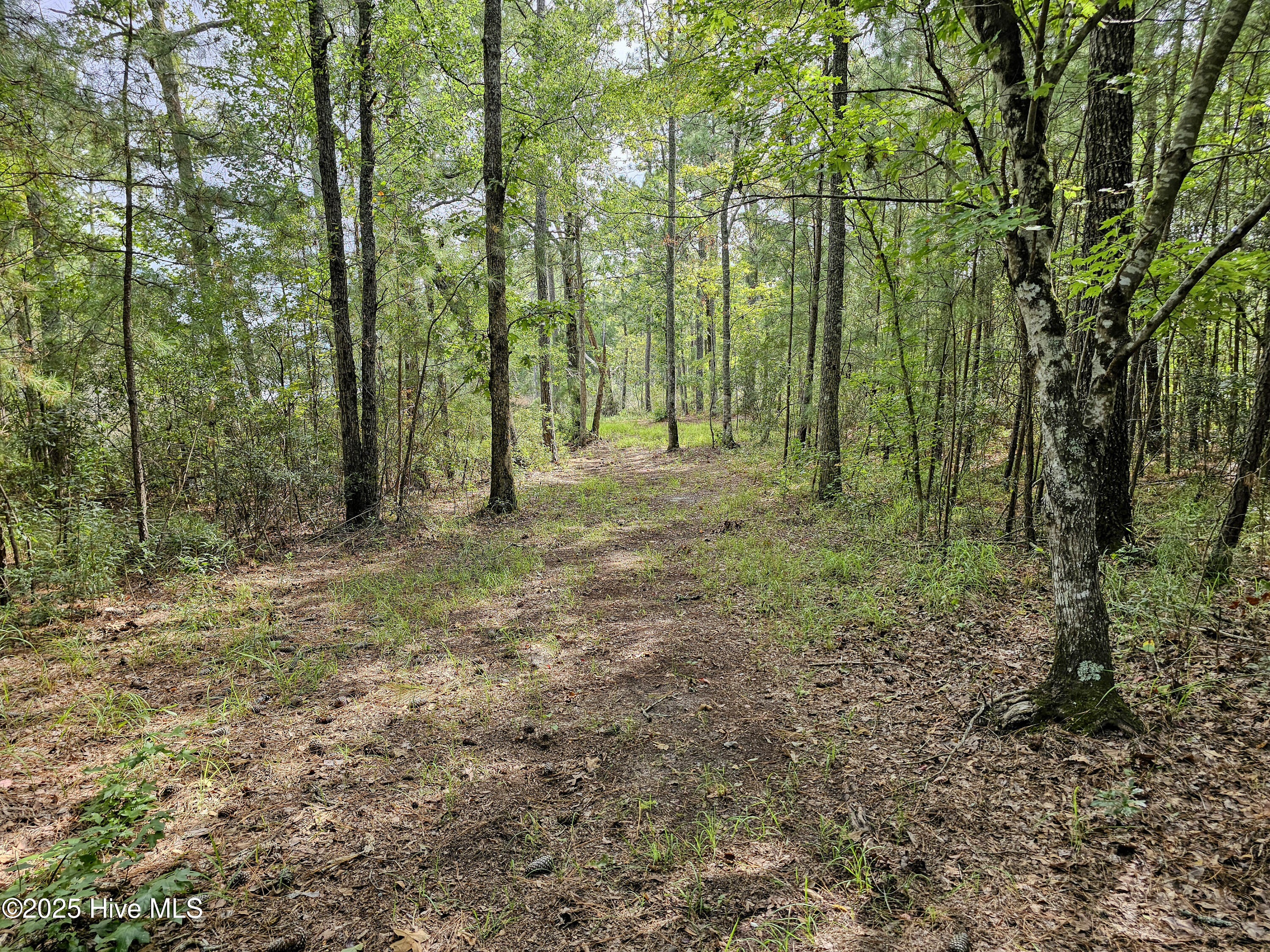 Lot 77 Mcgowan Road Bath, NC 27808 - Photo 9 of 16 20250908_153636b