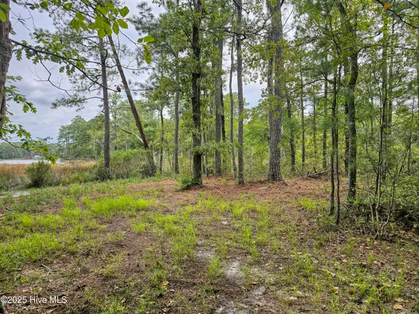 $59,900 | Lot 77 Mcgowan Road, Bath, NC 27808