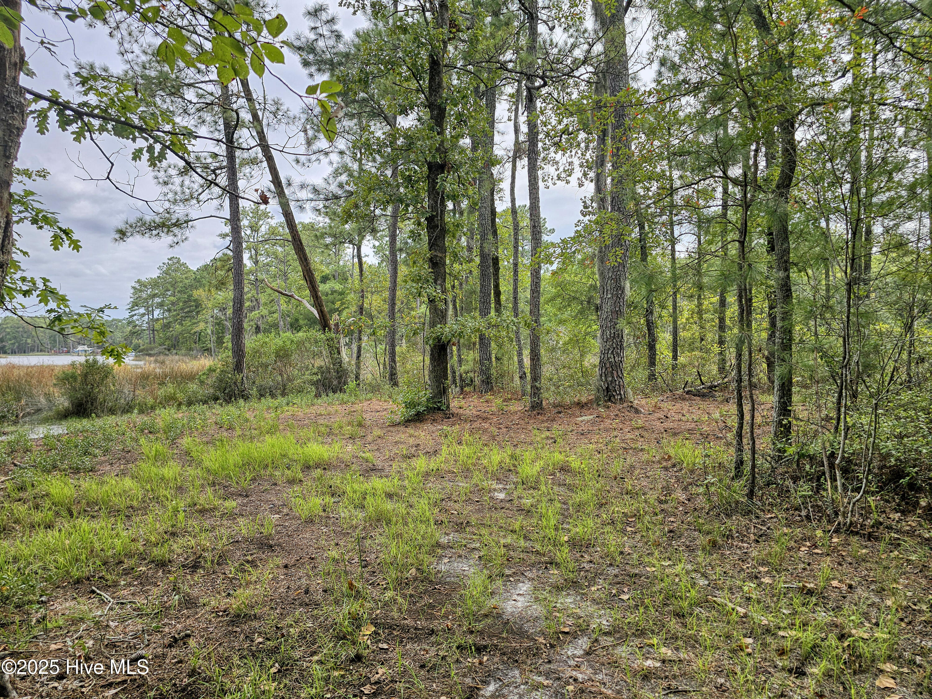 Lot 77 Mcgowan Road Bath, NC 27808 - Photo 10 of 16 20250908_155148b
