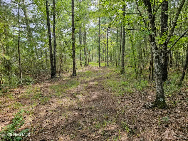 $59,900 | Lot 77 Mcgowan Road, Bath, NC 27808