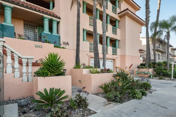 a view of a building with potted plants and more windows