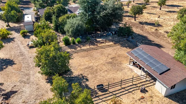 a view of a backyard with plants and trees