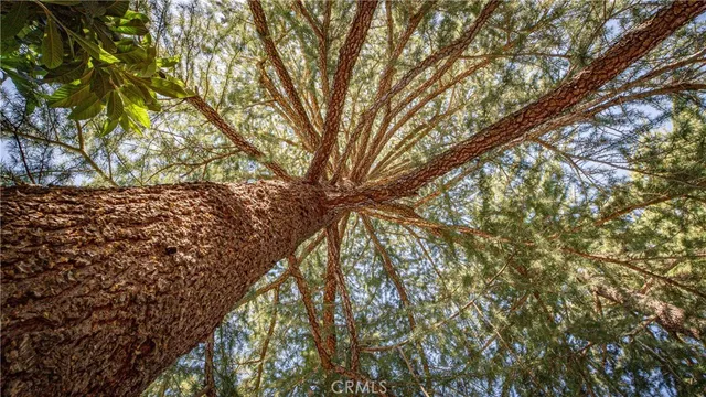 $435,000 | 2860 Rose Lane, Clearlake, CA 95422