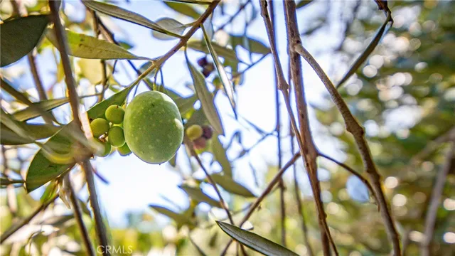 $435,000 | 2860 Rose Lane, Clearlake, CA 95422