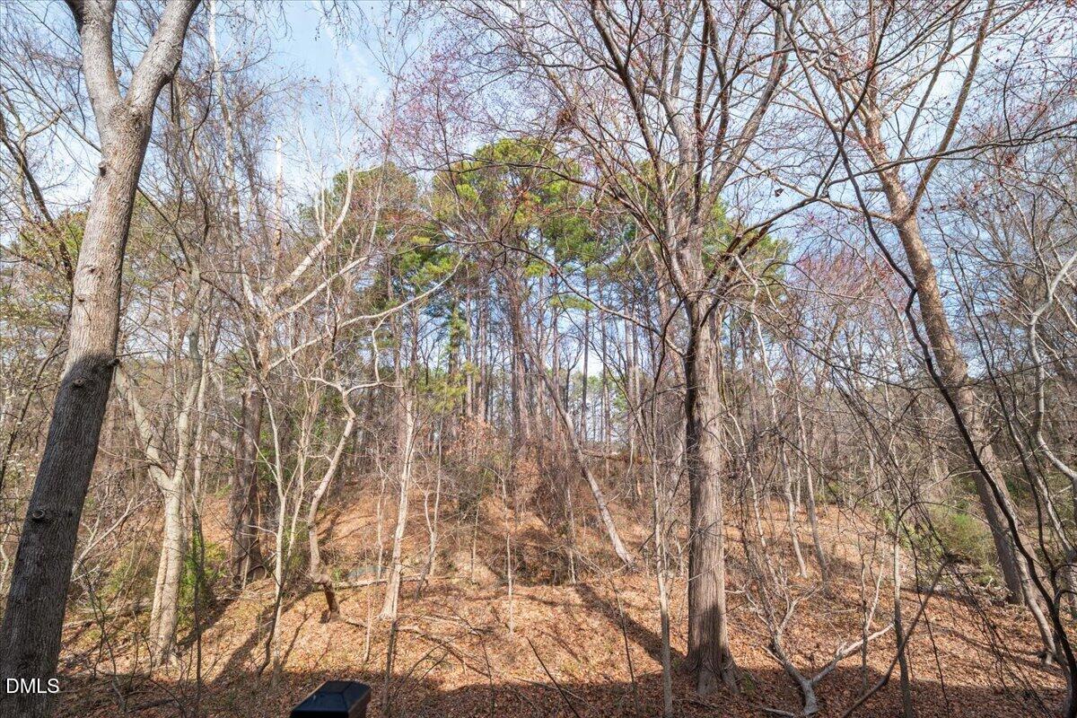 2791 Stone Rock Drive, Unit 107 Raleigh, NC 27604 - Photo 40 of 47 34-P1325402