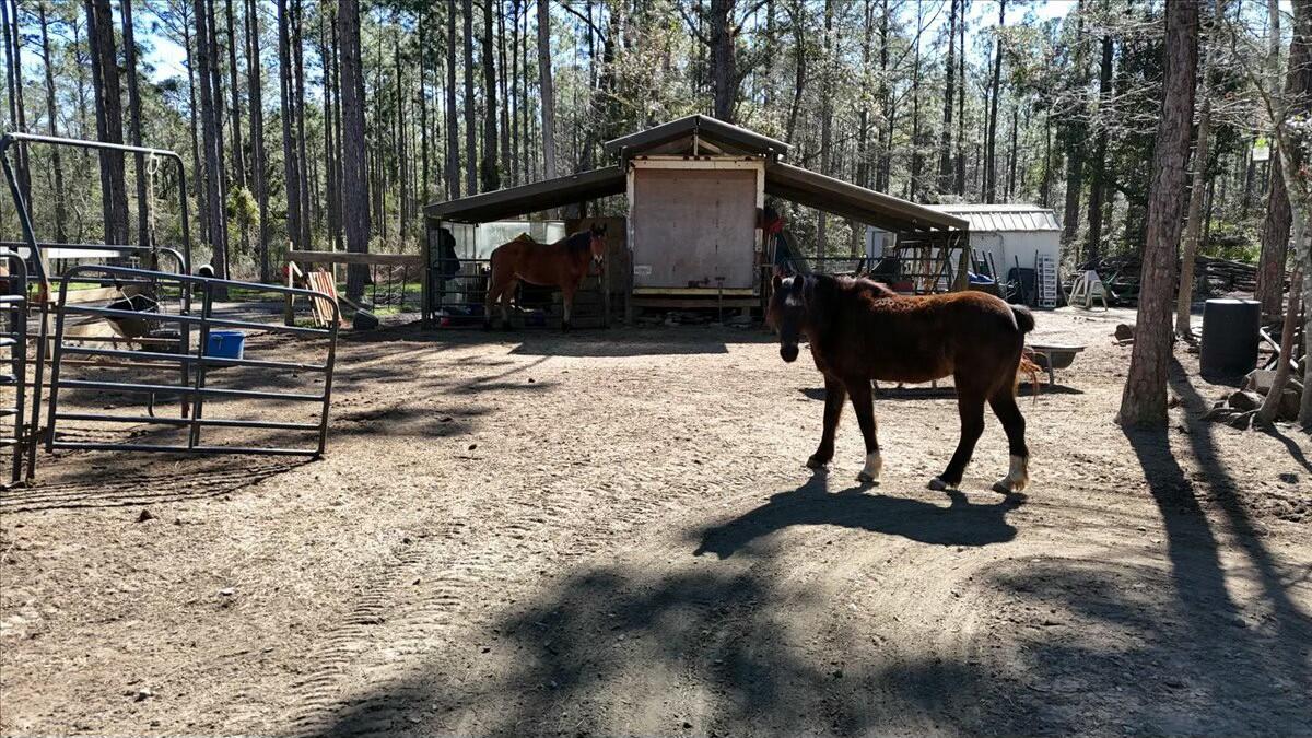 902 Clearview Street Milton, FL 32583 - Photo 12 of 69 tempImagezyxC0G