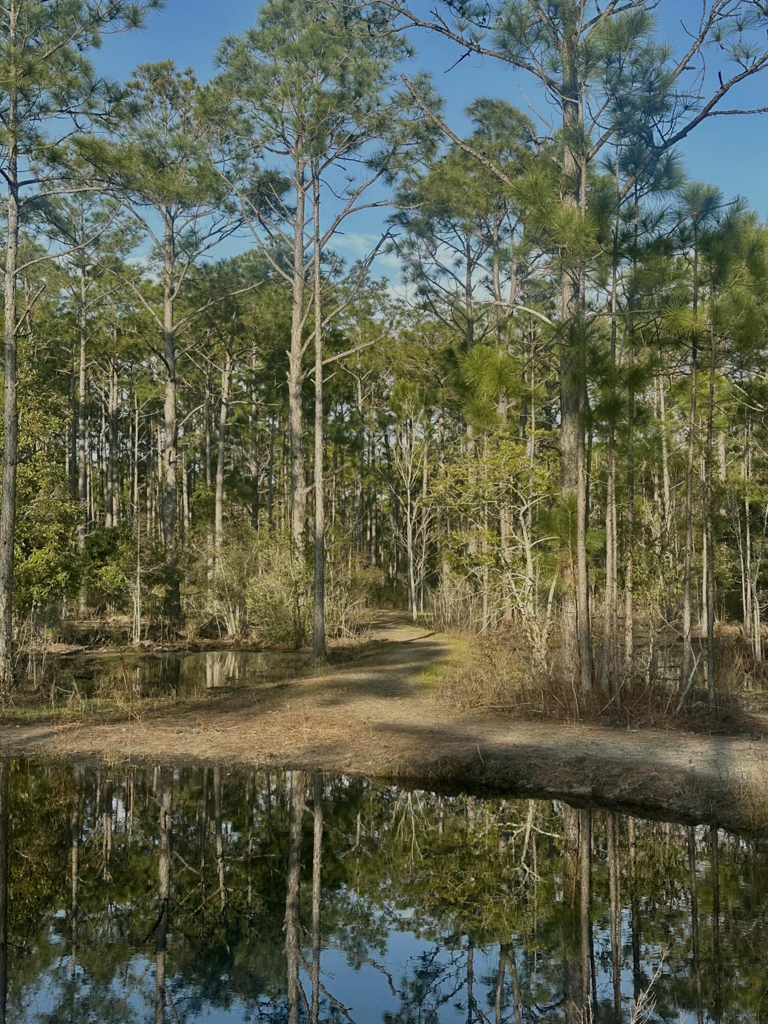 902 Clearview Street Milton, FL 32583 - Photo 41 of 69 tempImagew8utZO