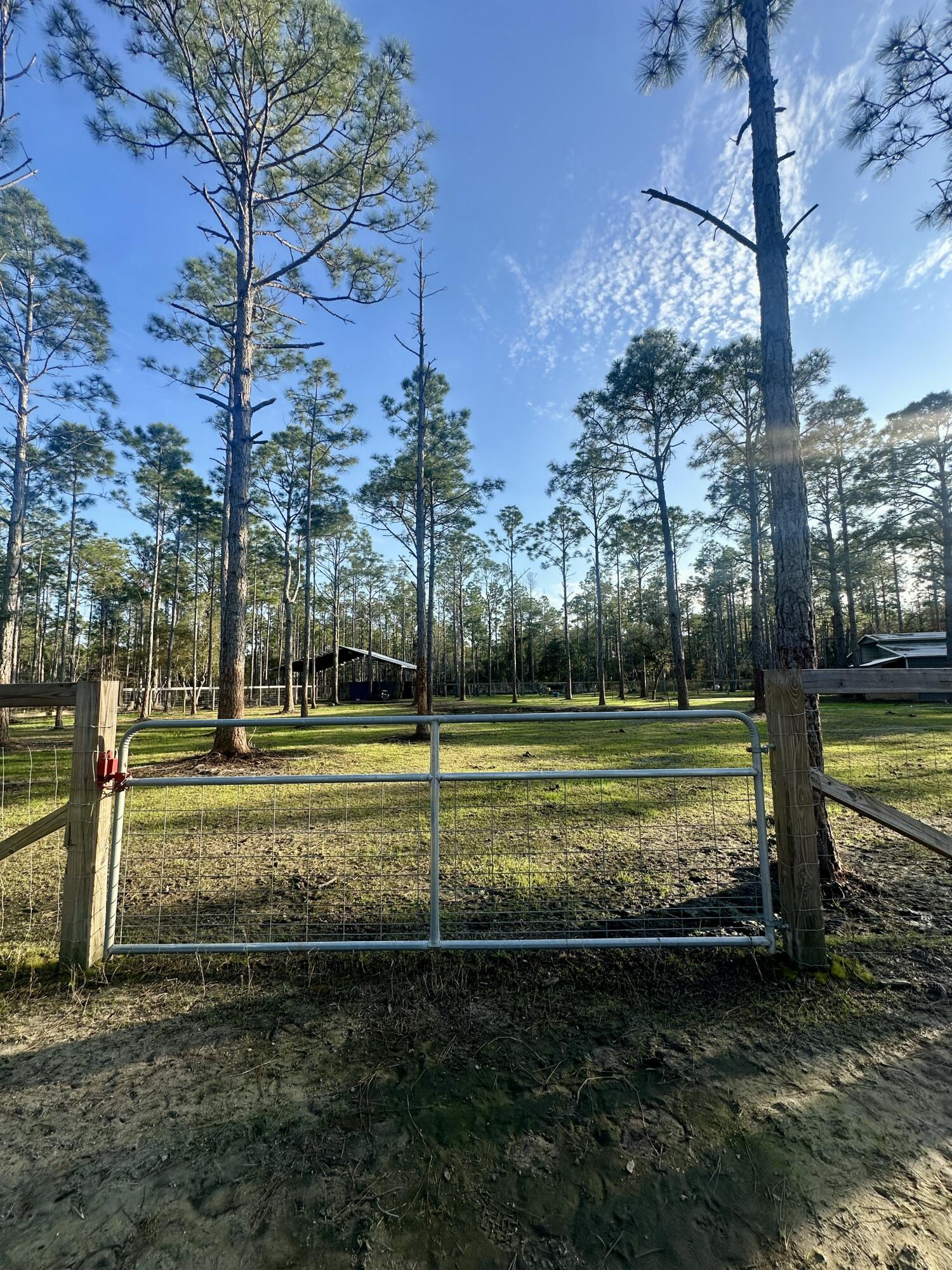 902 Clearview Street Milton, FL 32583 - Photo 42 of 69 tempImageu0OqN2