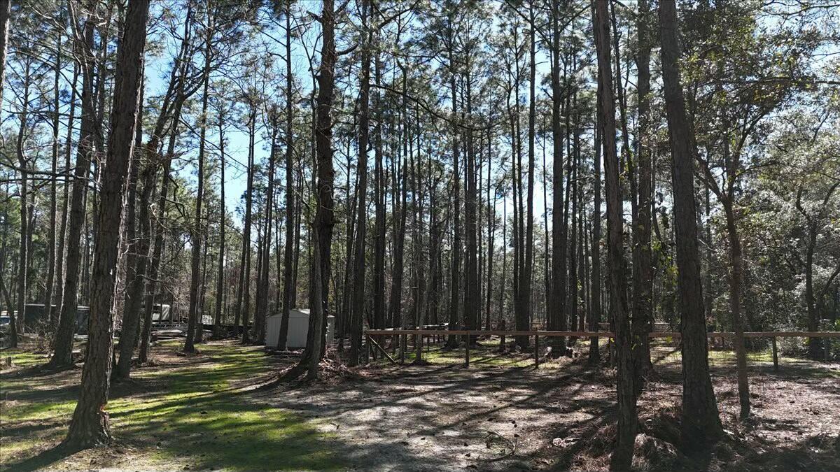 902 Clearview Street Milton, FL 32583 - Photo 52 of 69 tempImageNyGYJT