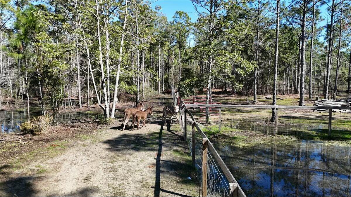 902 Clearview Street Milton, FL 32583 - Photo 53 of 69 tempImageEB397I