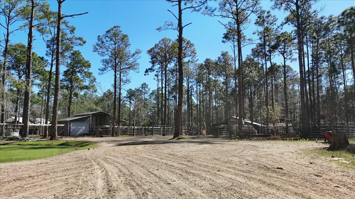 902 Clearview Street Milton, FL 32583 - Photo 56 of 69 tempImageetqdxy