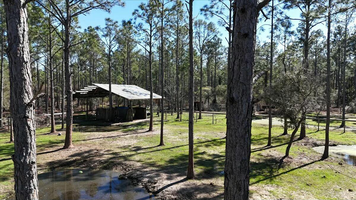 902 Clearview Street Milton, FL 32583 - Photo 60 of 69 tempImageqgZUm8