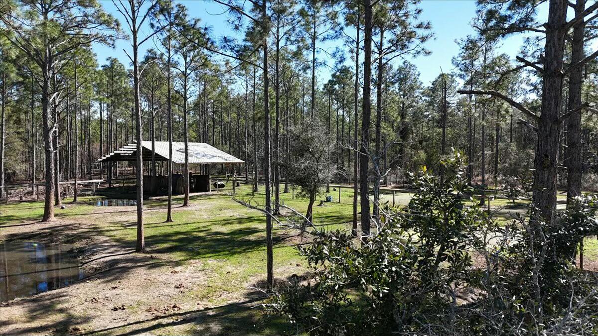 902 Clearview Street Milton, FL 32583 - Photo 6 of 69 tempImageCWc5UJ