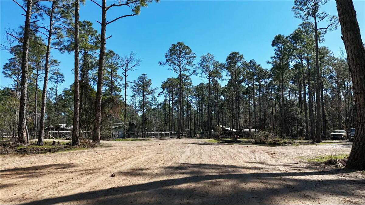 902 Clearview Street Milton, FL 32583 - Photo 10 of 69 tempImagePqEWky