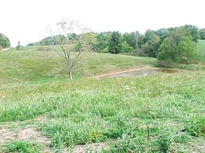 0 Walnut Shade Road Crane, MO 65633 - Photo 1 of 1 Primary Photo