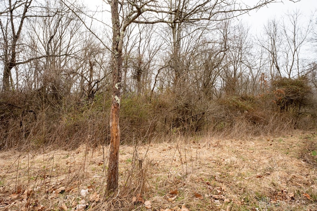 917 Sandy Road Chillicothe, OH 45601 - Photo 40 of 50 Gallery Image 40