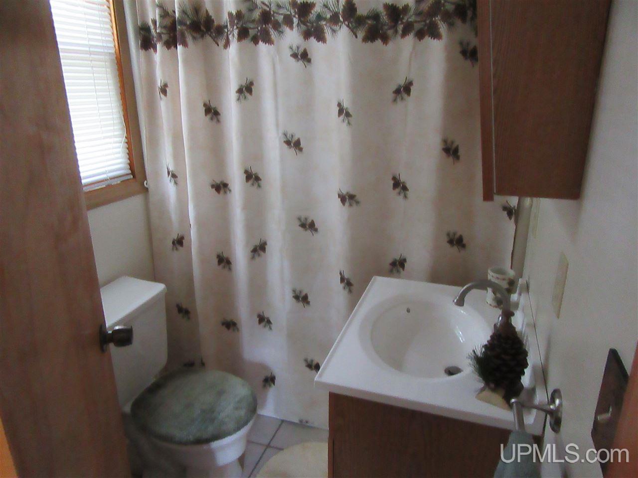 914 North Co Road Manistique, MI 49854 - Photo 19 of 20