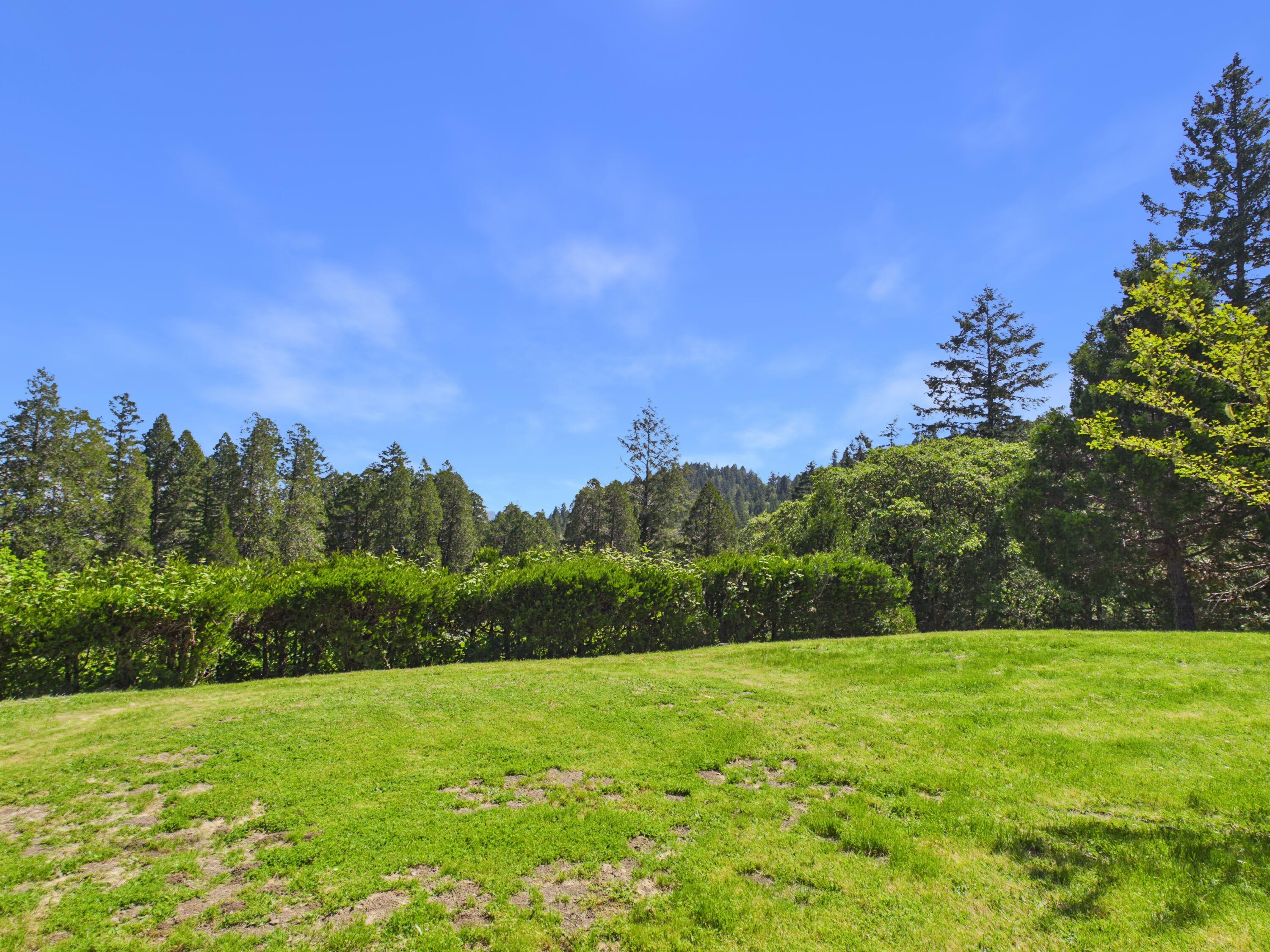 7926 Thomas Road Miranda, CA 95553 - Photo 4 of 83