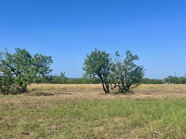 701 Greenfield Road Abilene, TX 79602 - Photo 2 of 11 a view of a yard with trees and a yard