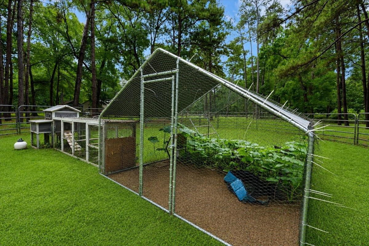 16375 Grand Flower Road Plantersville, TX 77363 - Photo 26 of 50 a view of a house with a yard