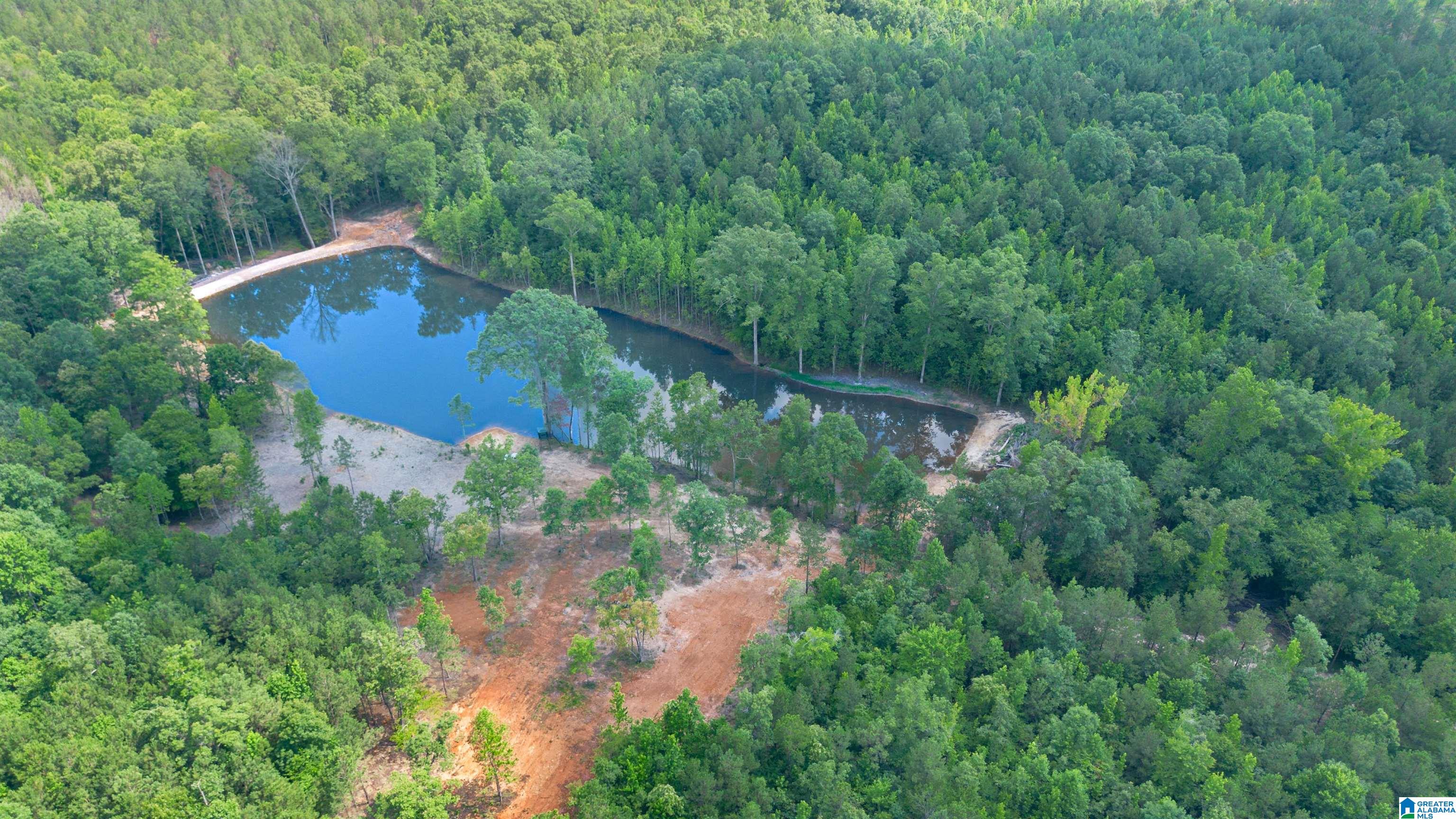 Vineyard Road, Unit 1 2 4 5 6 Fruithurst, AL 36262 - Photo 9 of 19