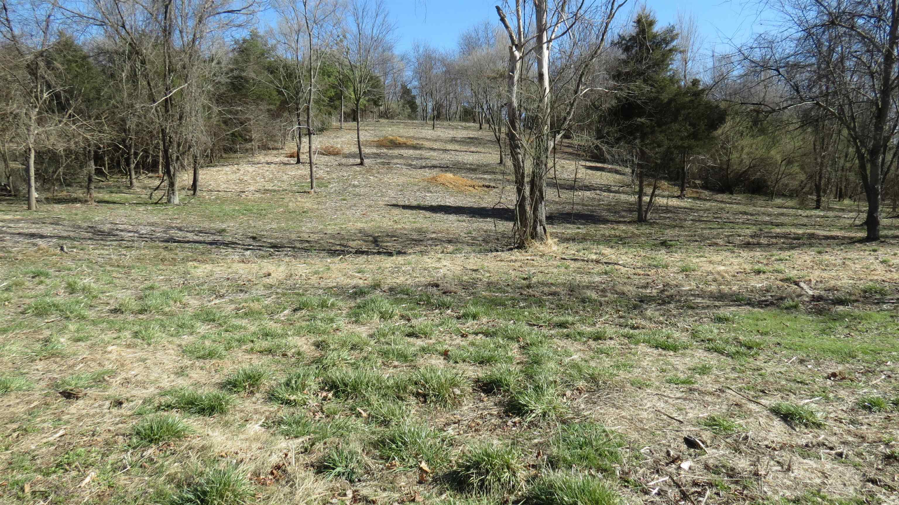 Lot 11 Berry Farm Road Staunton, VA 24401 - Photo 4 of 24 Gallery Image 4