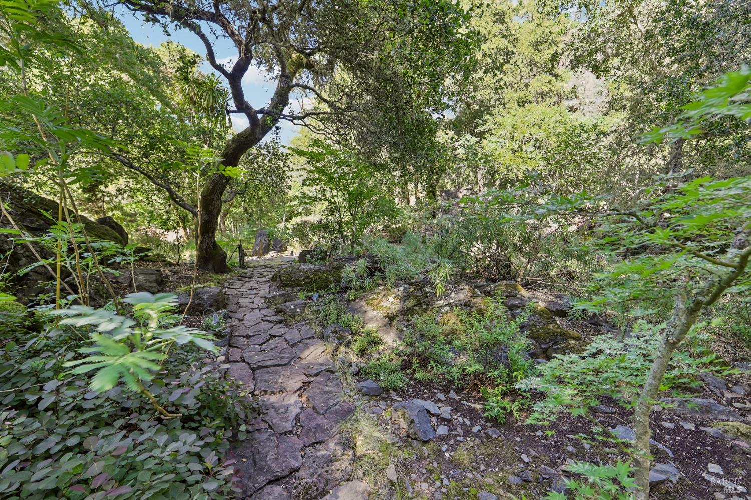 2515 Stepps Road Sebastopol, CA 95472 - Photo 67 of 93
