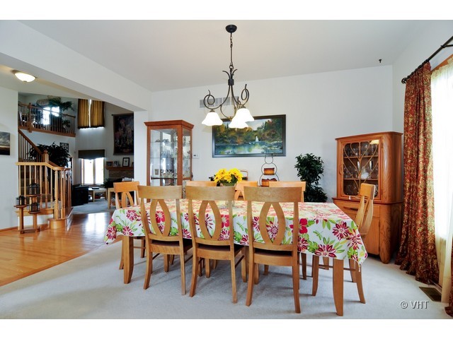 790 Anderson Road New Lenox, IL 60451 - Photo 5 of 16