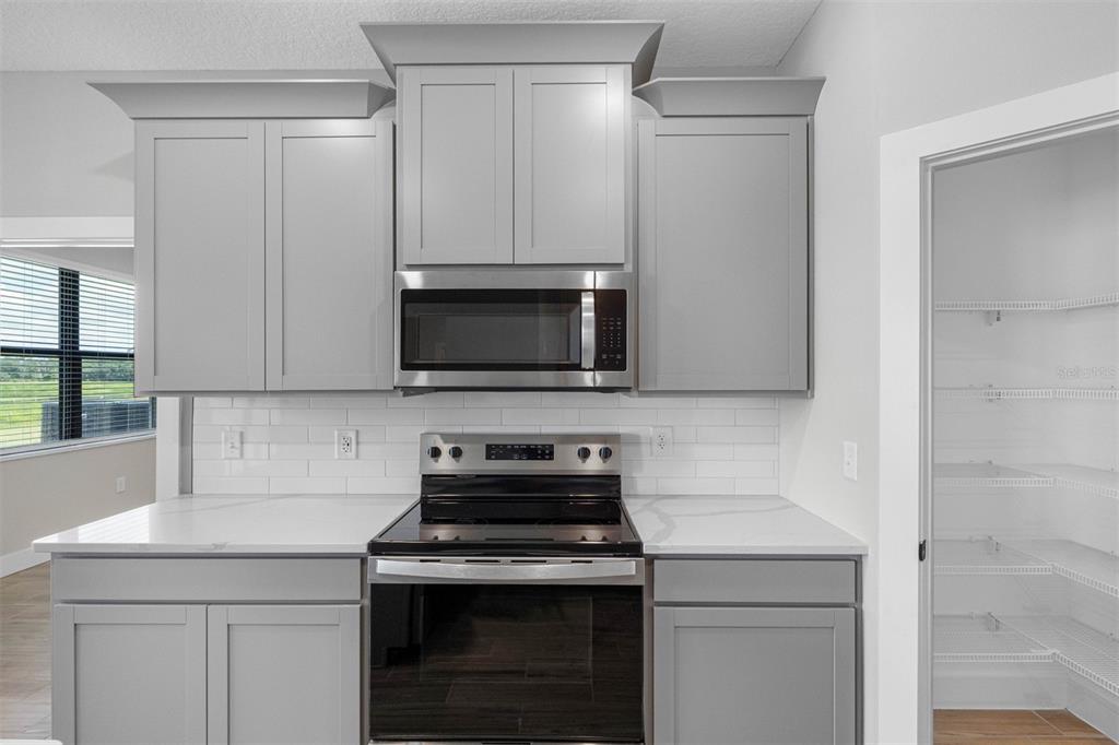 13501 Walden Sheffield Road Dover, FL 33527 - Photo 2 of 6