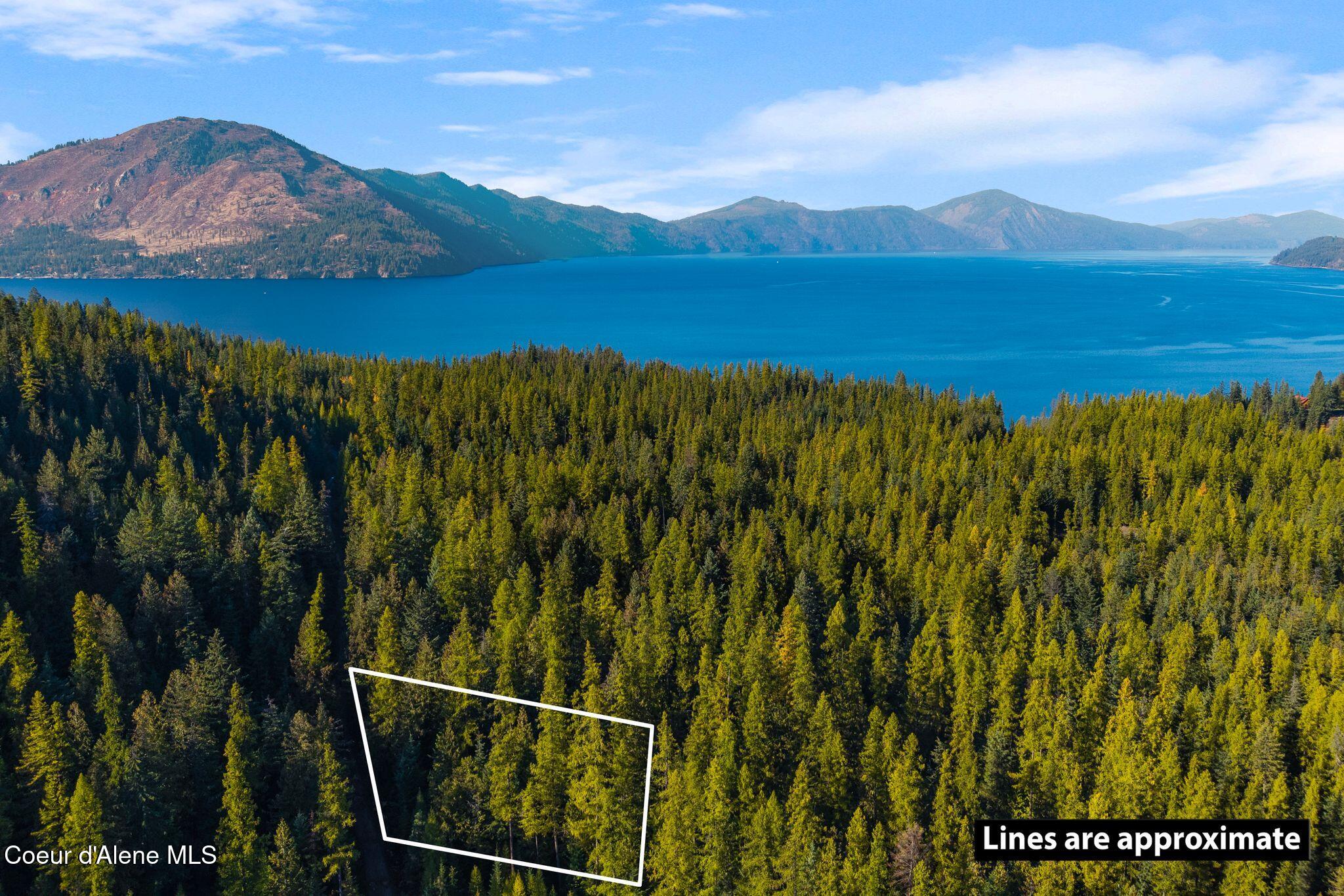 Nna Big Buck Road Athol, ID 83801 - Photo 1 of 18 Private 0.60-Acre Retreat in Bayview, Id