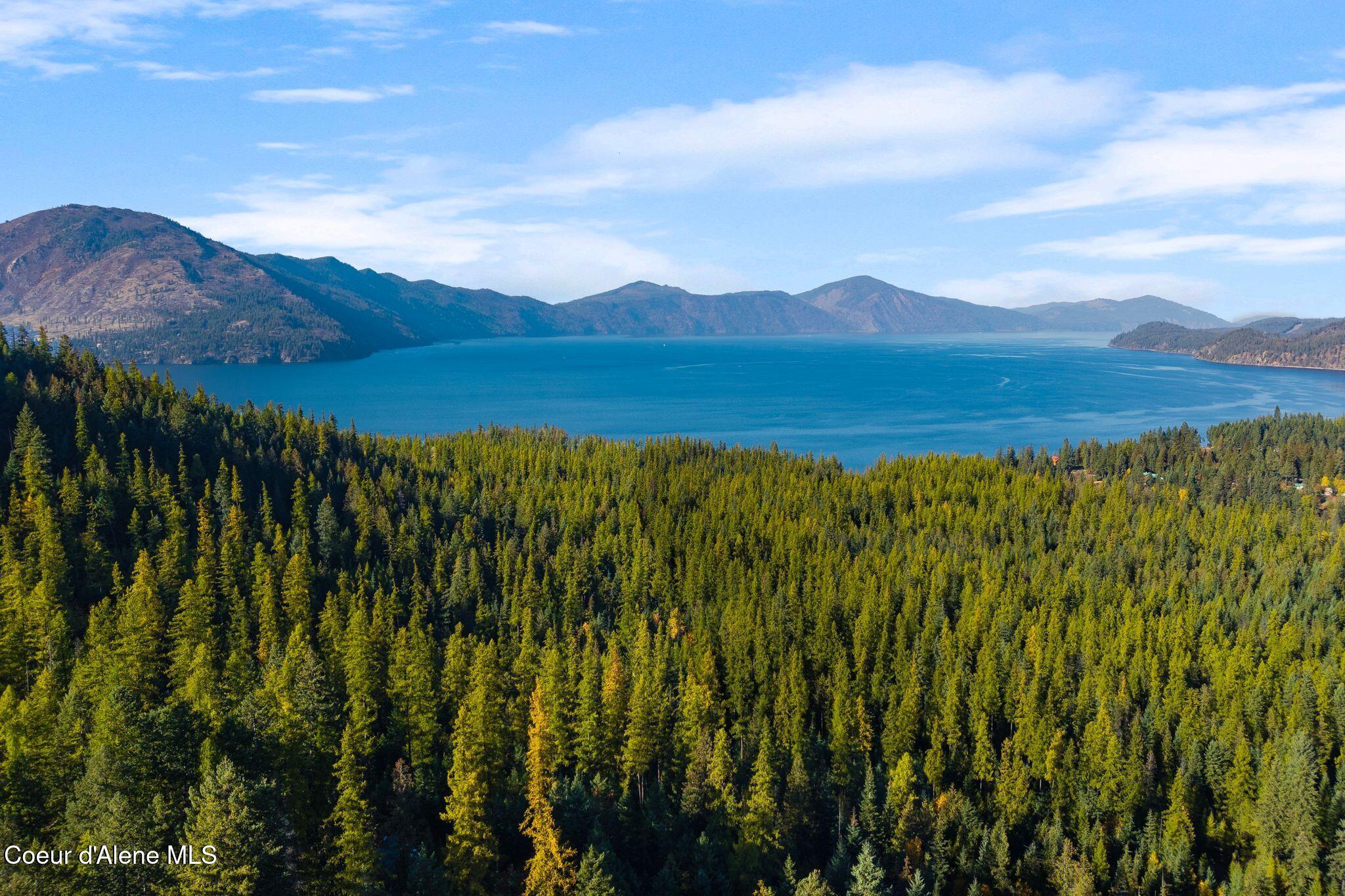 Nna Big Buck Road Athol, ID 83801 - Photo 11 of 18 11_DJI_20251023051453_0785_D