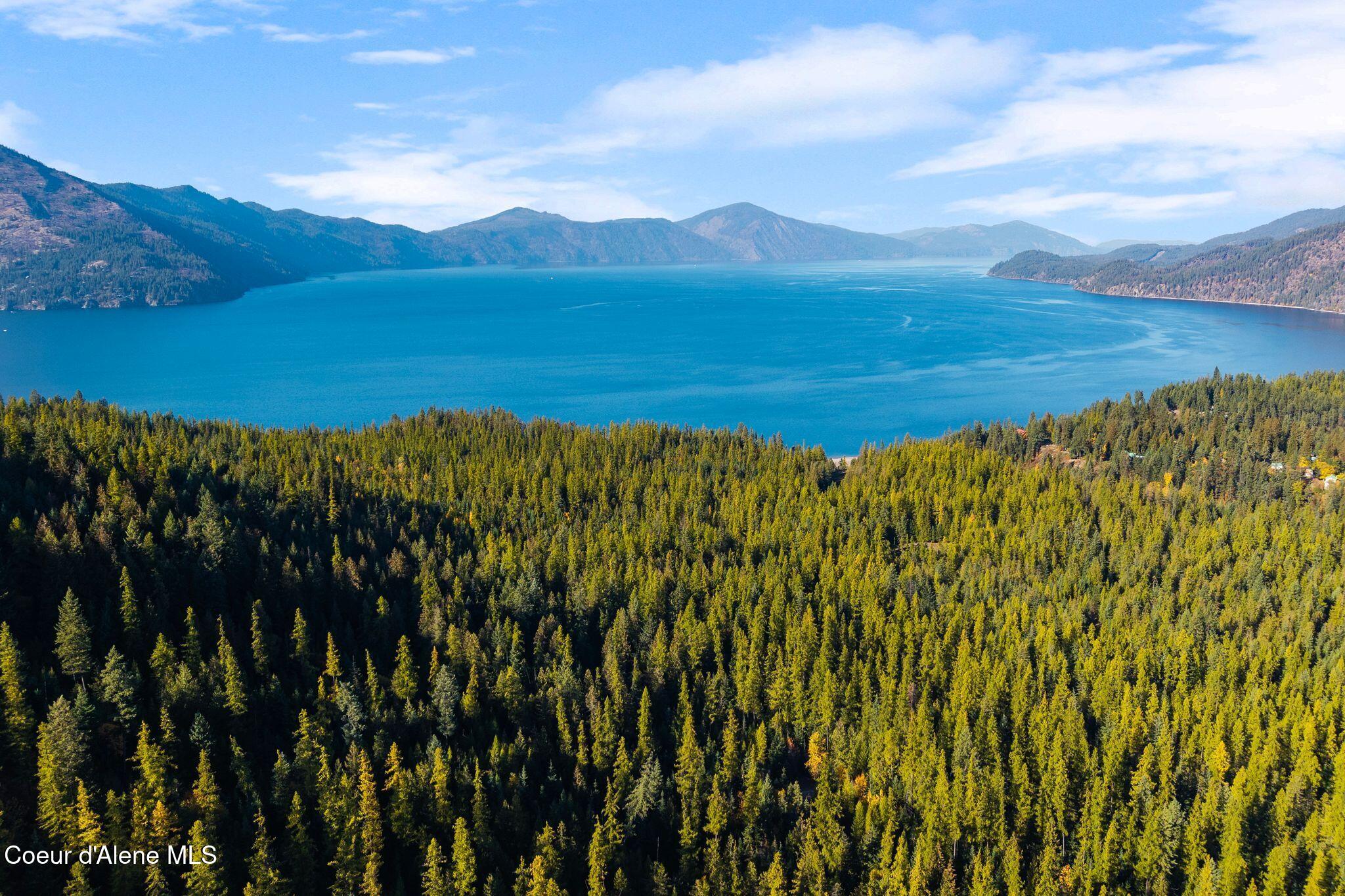 Nna Big Buck Road Athol, ID 83801 - Photo 14 of 18 14_DJI_20251023051733_0806_D