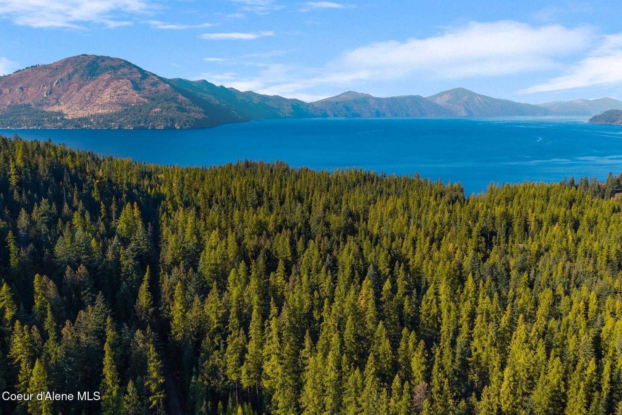 Nna Big Buck Road Athol, ID 83801 - Photo 16 of 18 16_DJI_20251023051845_0822_D