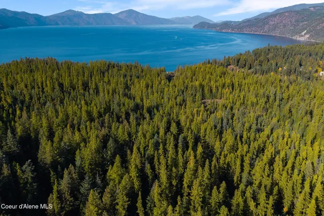 $49,000 | Nna Big Buck Road, Athol, ID 83801