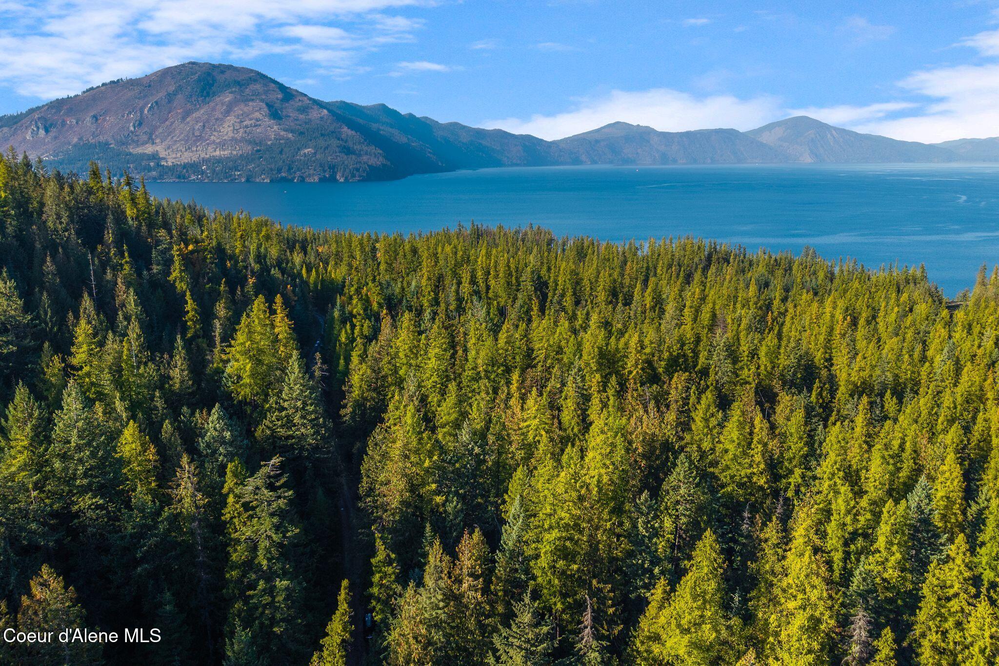 Nna Big Buck Road Athol, ID 83801 - Photo 18 of 18 18_DJI_20251023052032_0842_D