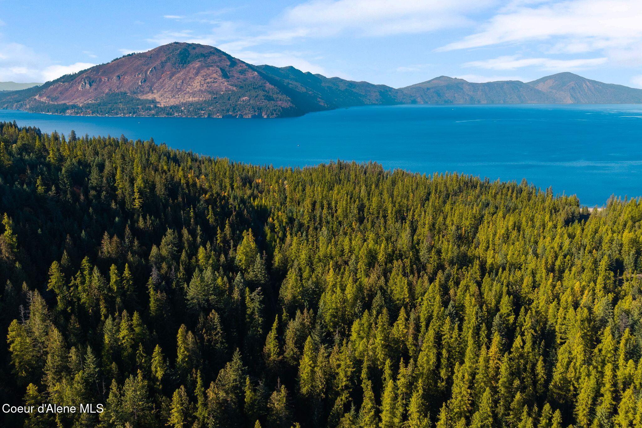 Nna Big Buck Road Athol, ID 83801 - Photo 2 of 18 1_DJI_20251023051026_0741_D