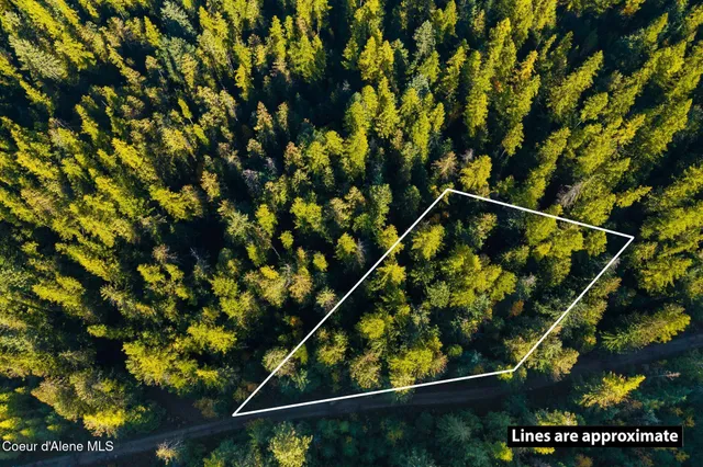 $49,000 | Nna Big Buck Road, Athol, ID 83801