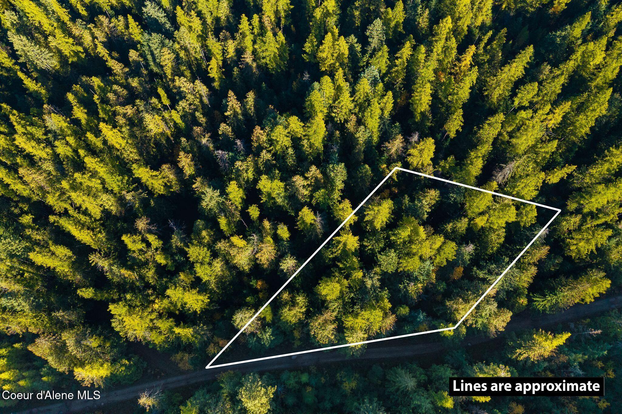 Nna Big Buck Road Athol, ID 83801 - Photo 3 of 18 3_DJI_20251023050918_0726_D PLOTLINE