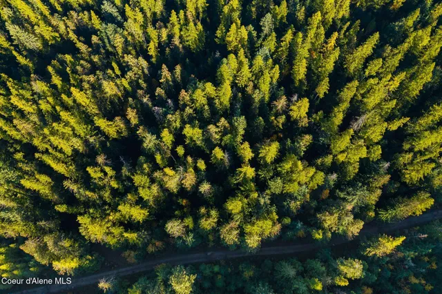 $49,000 | Nna Big Buck Road, Athol, ID 83801