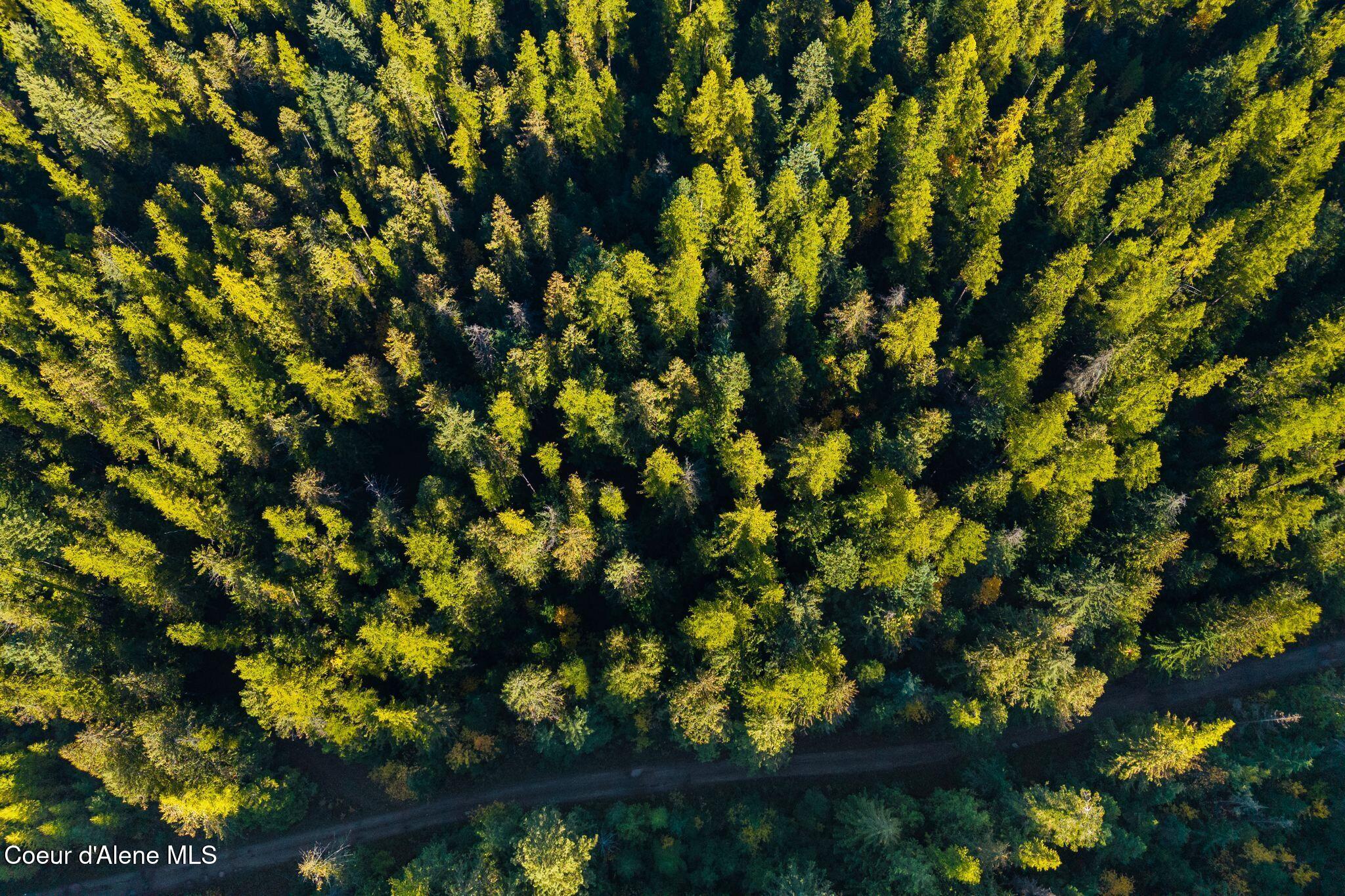 Nna Big Buck Road Athol, ID 83801 - Photo 4 of 18 4_DJI_20251023050918_0726_D