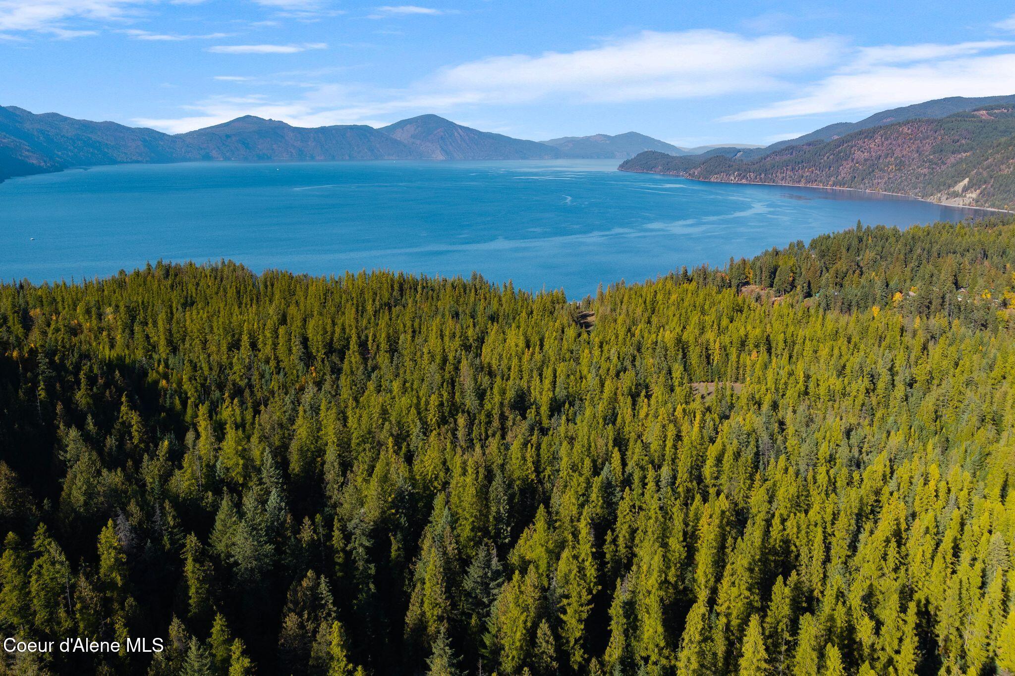 Nna Big Buck Road Athol, ID 83801 - Photo 5 of 18 5_DJI_20251023051009_0736_D