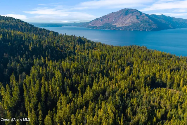 $49,000 | Nna Big Buck Road, Athol, ID 83801