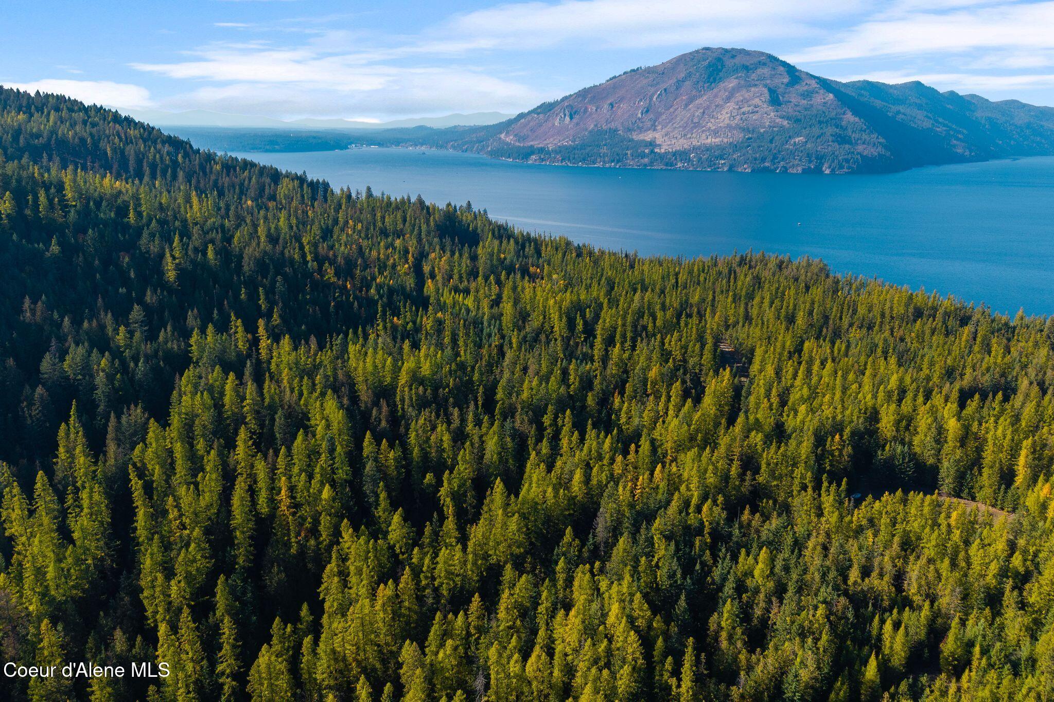 Nna Big Buck Road Athol, ID 83801 - Photo 6 of 18 6_DJI_20251023051107_0747_D